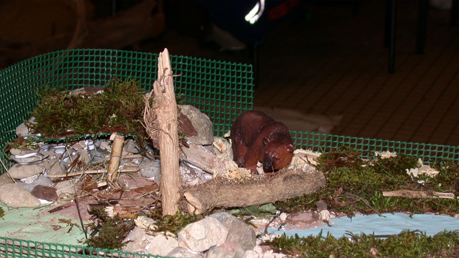 Projet minizoo construire un zoo miniature ⋆ Zoo de Mulhouse, parc