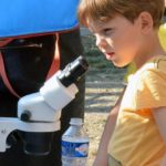 Découvrir les petites bêtes du sol