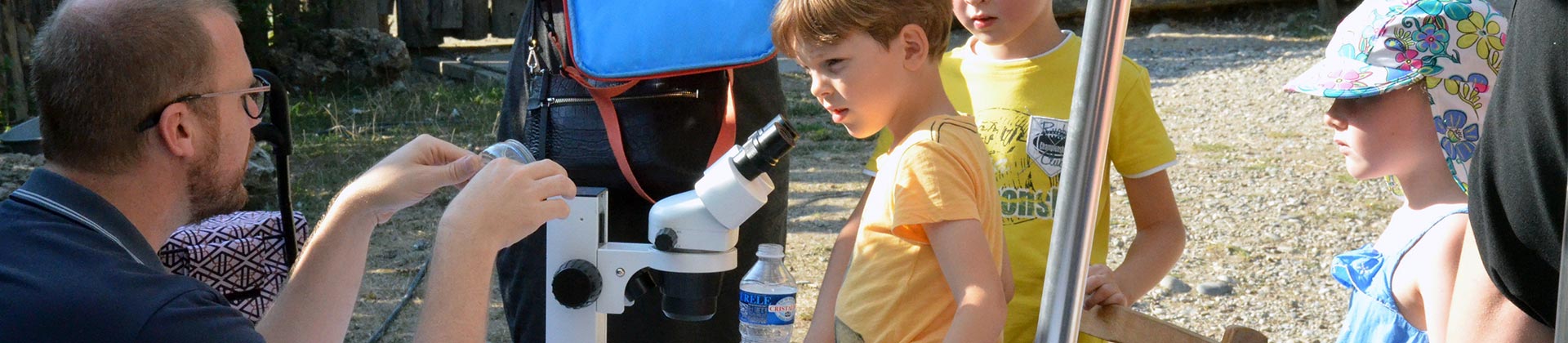 Découvrir les petites bêtes du sol