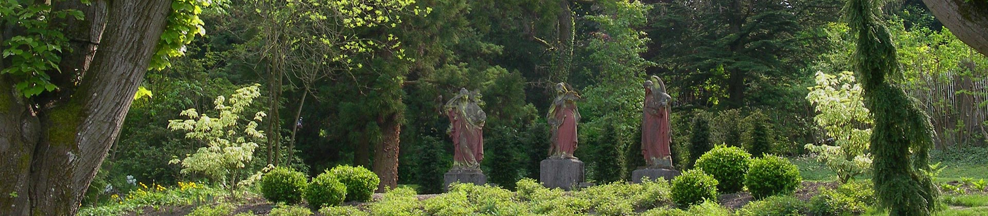 Visite guidée botanique : 150 ans de plantation dans le Parc