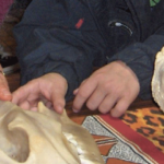 Visite guidée zoologique : Dentures et régimes alimentaires