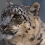 Fermeture exceptionnelle