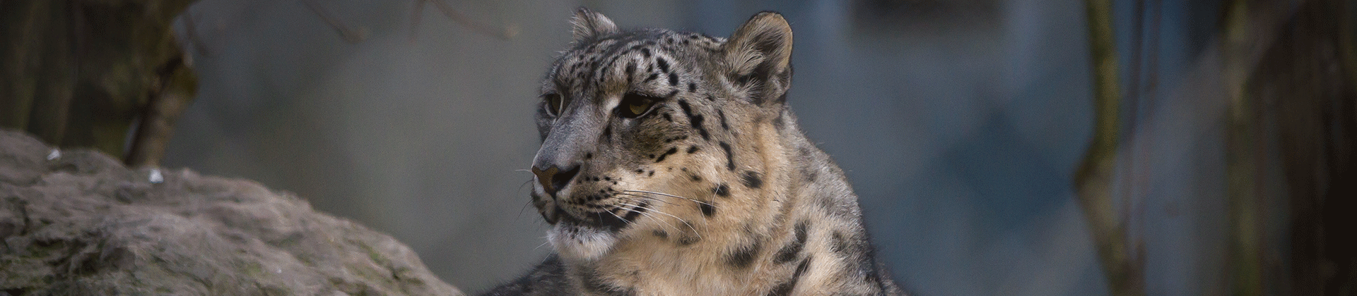 Fermeture exceptionnelle