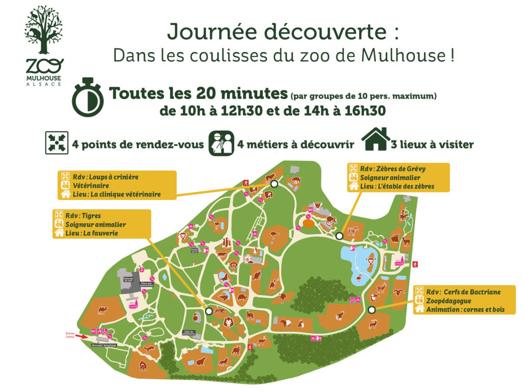 Journée découverte ⋆ Zoo de Mulhouse, parc zoologique et botanique