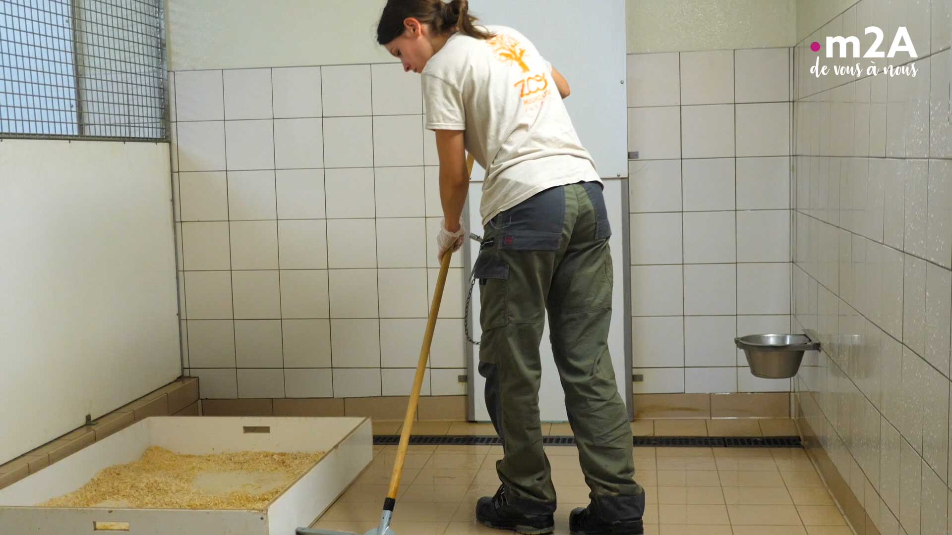 Dans la peau d'un soigneur animalier - Un métier très physique