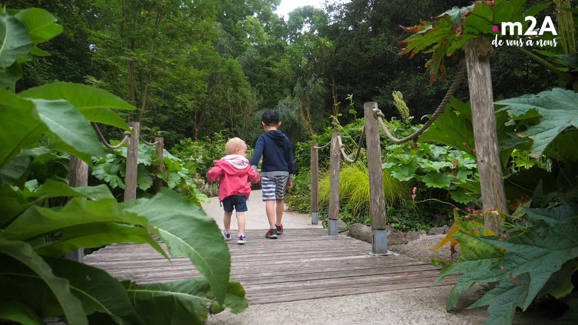 Observations botaniques au parc - En balade au coeur du Parc