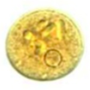 Entamoeba polecki cyst stained with Lugol