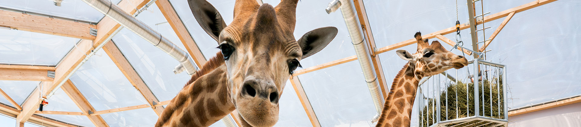 Journées européennes du Patrimoine 2025