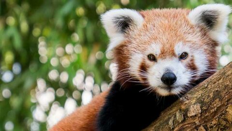 Journée du Patrimoine – 21 septembre 