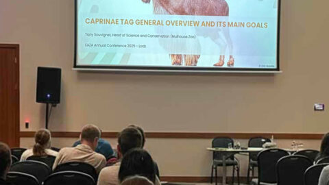 Une conférence internationale pour la coopération zoologique 