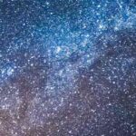 Conférence "Les animaux, premiers conquérants de l'espace"