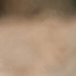 Visite : "Les animaux du Parc Zoologique & Botanique voyagent !"