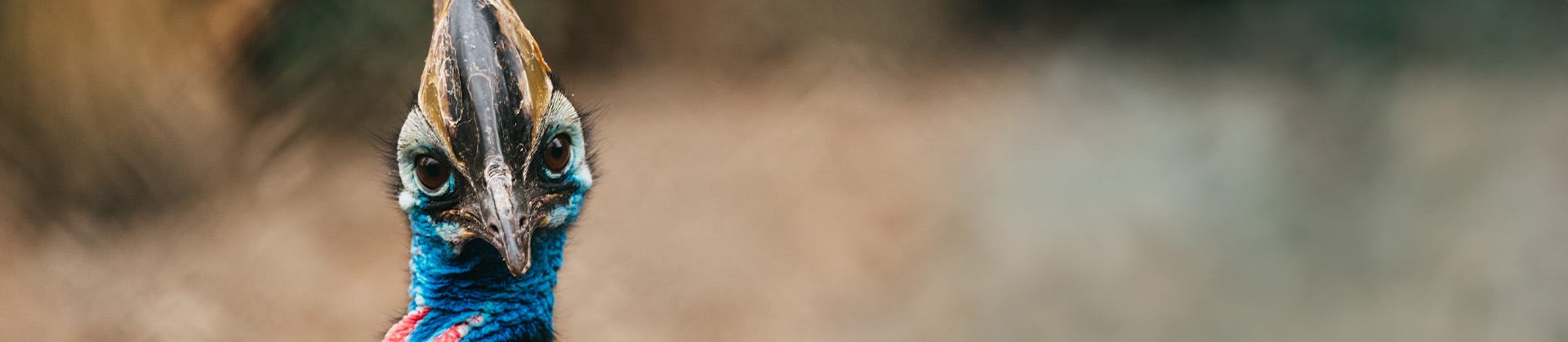 Visite : "Les animaux du Parc Zoologique & Botanique voyagent !"