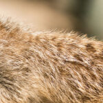 Visite : "Vivre ensemble, pourquoi ?"