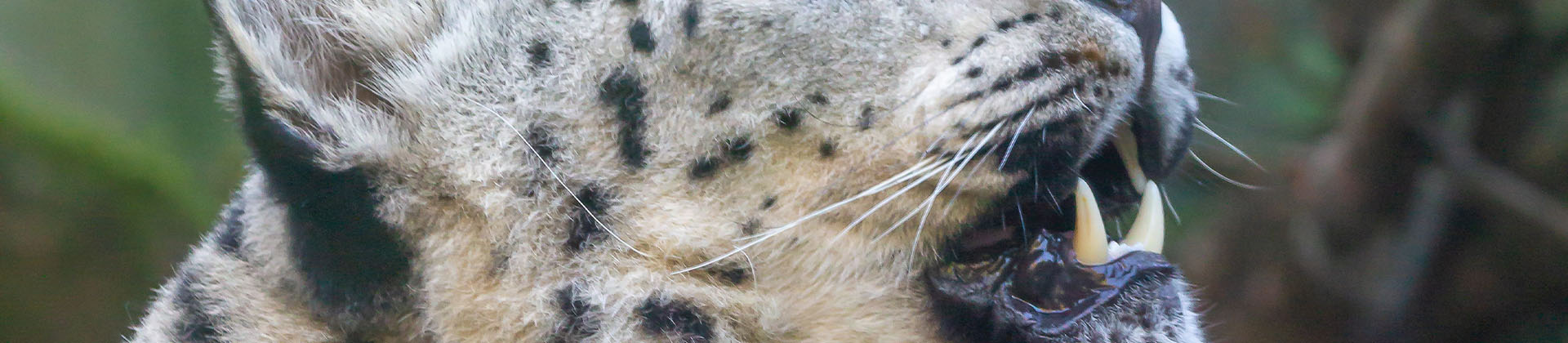 Visite : "On a les crocs !"