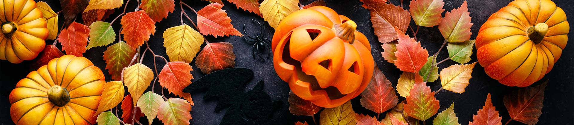 Halloween : Légendes & Sortilèges