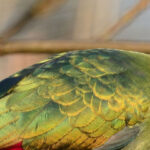 Animation de Pâques : à qui appartient cet œuf ?