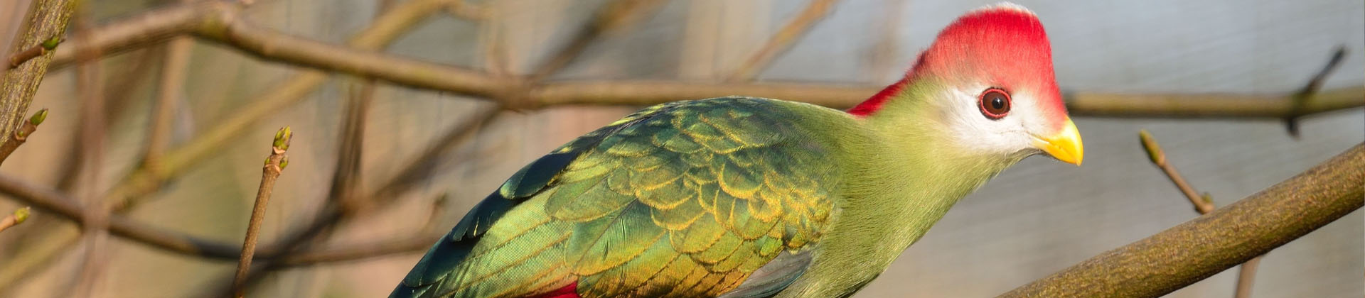 Animation de Pâques : à qui appartient cet œuf ?