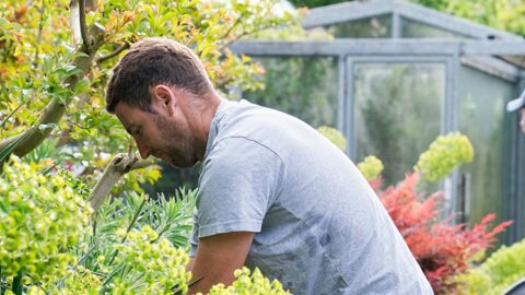 Chantier partagé : fermeture exceptionnelle du Parc mardi 05 mai 2026 