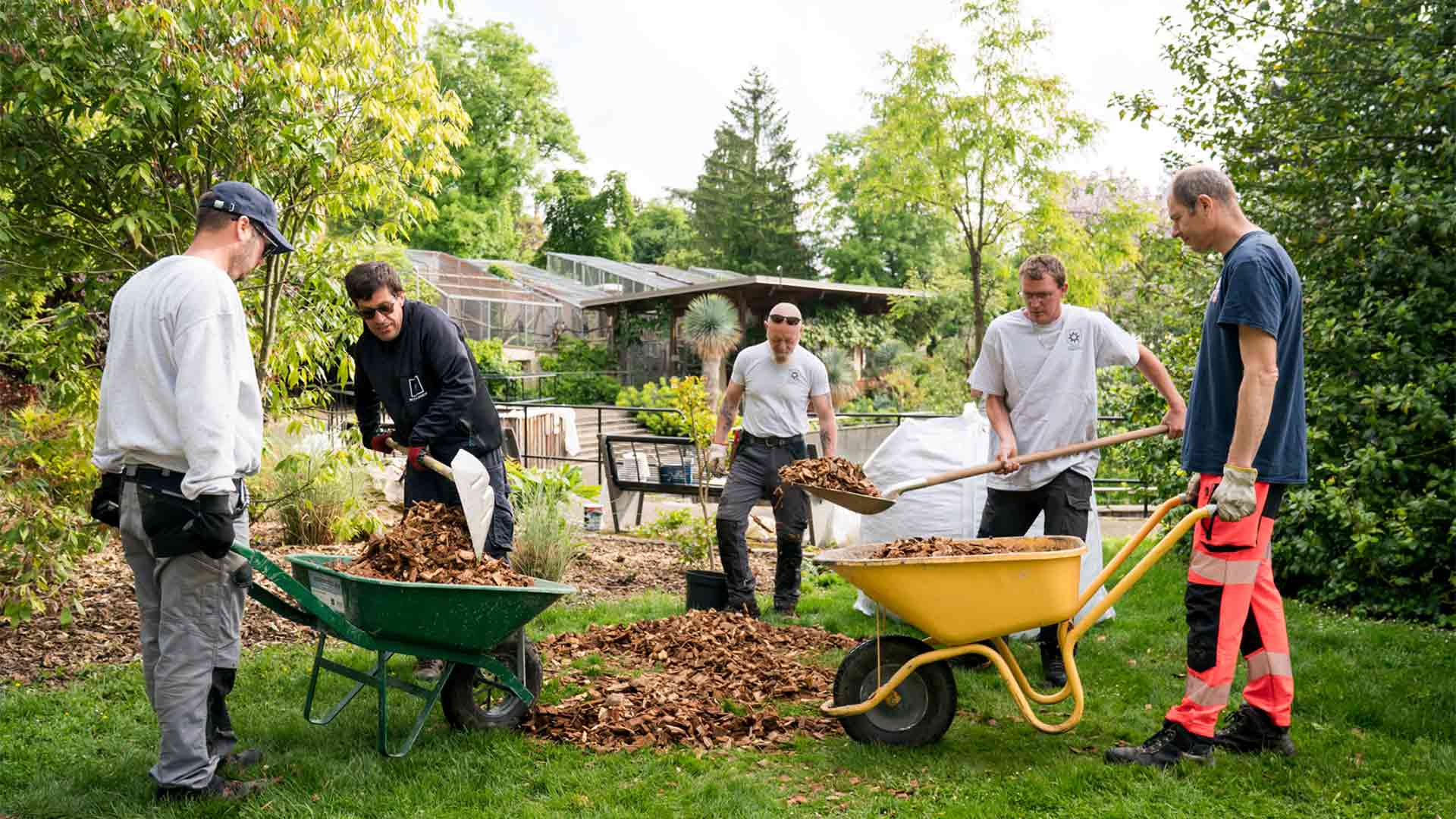 Chantier partagé au Parc Zoologique & Botanique de Mulhouse