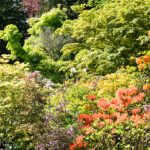 Visite guidée Botanique