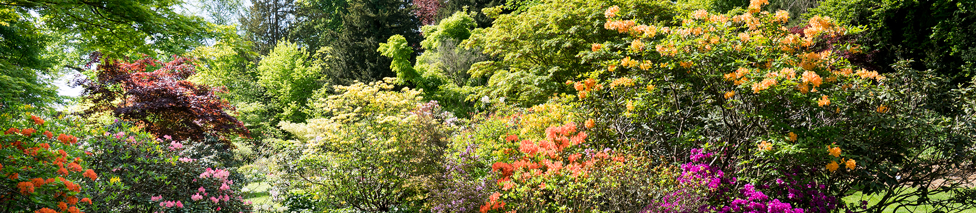 Visite guidée Botanique